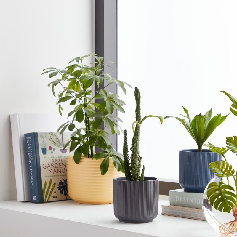 Vesta Ceramic Planter - 12 cm