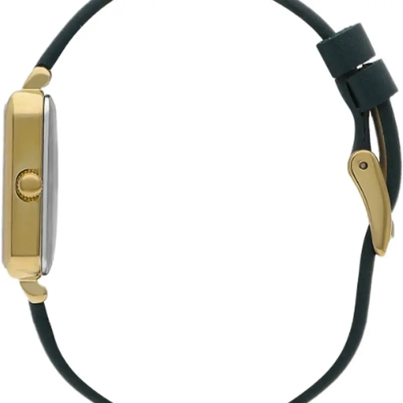 LEE COOPER Women's Analog Green Dial Watch - LC07814.177